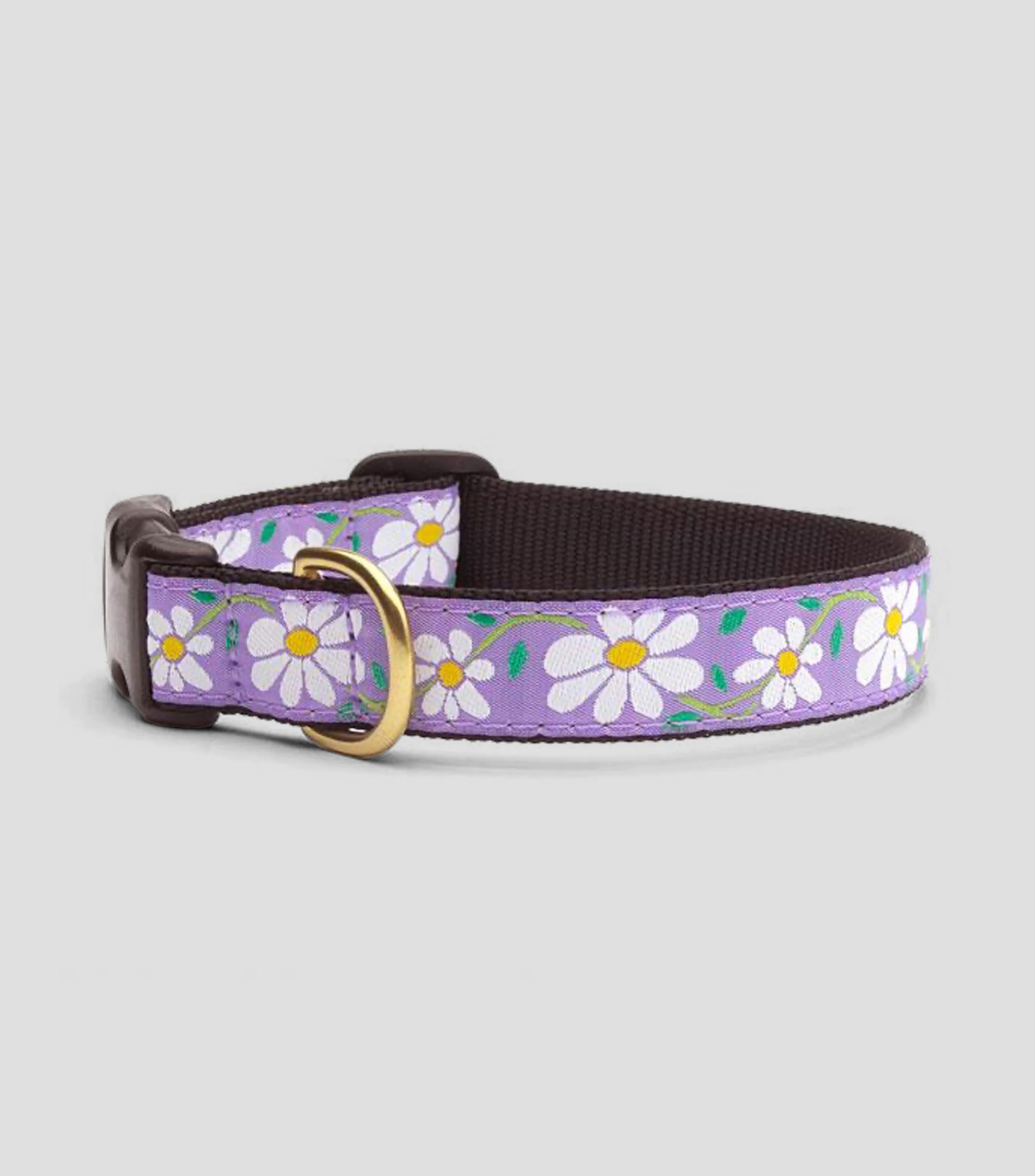 Collar para perro Daisy